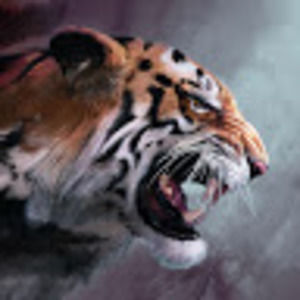 Meet your Posher, Tiger box